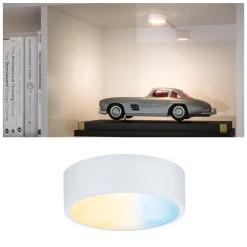 Clever Connect LED Spot - Medal