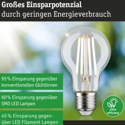 Efficient-Line Filament 230V - LED Birne 1er-Set