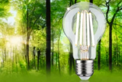 Efficient-Line Filament 230V - LED Birne 1er-Set