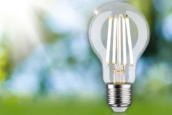 Efficient-Line Filament 230V - LED Birne 1er-Set