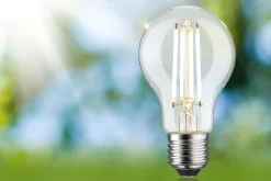 Efficient-Line Filament 230V - LED Birne Einzelleuchte