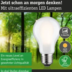 Efficient-Line Filament 230V - LED Birne Einzelleuchte