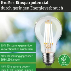 Efficient-Line Filament 230V - LED Birne Einzelleuchte