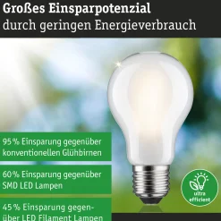 Efficient-Line Filament 230V - LED Birne Einzelleuchte