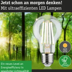 Efficient-Line Filament 230V - LED Birne Einzelleuchte