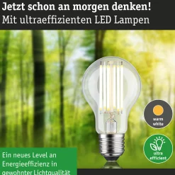 Efficient-Line Filament 230V - LED Birne Einzelleuchte