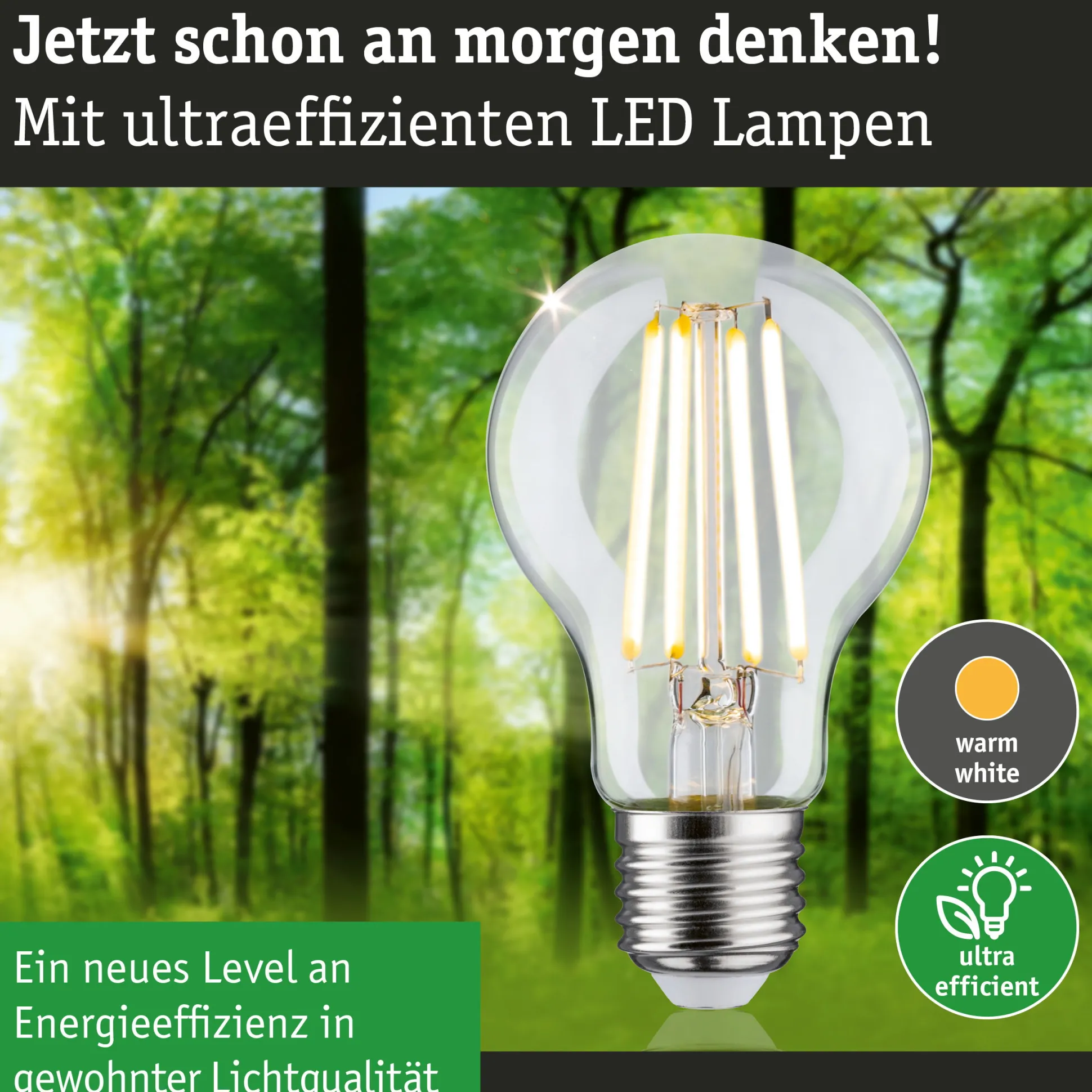 Efficient-Line Set - LED Birne Filament 230V LED Birne E27