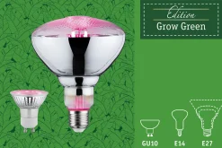 Grow Green Edition Filament 230V - LED Reflektor R50
