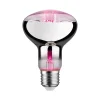 Grow Green Edition Filament 230V - LED Reflektor R80