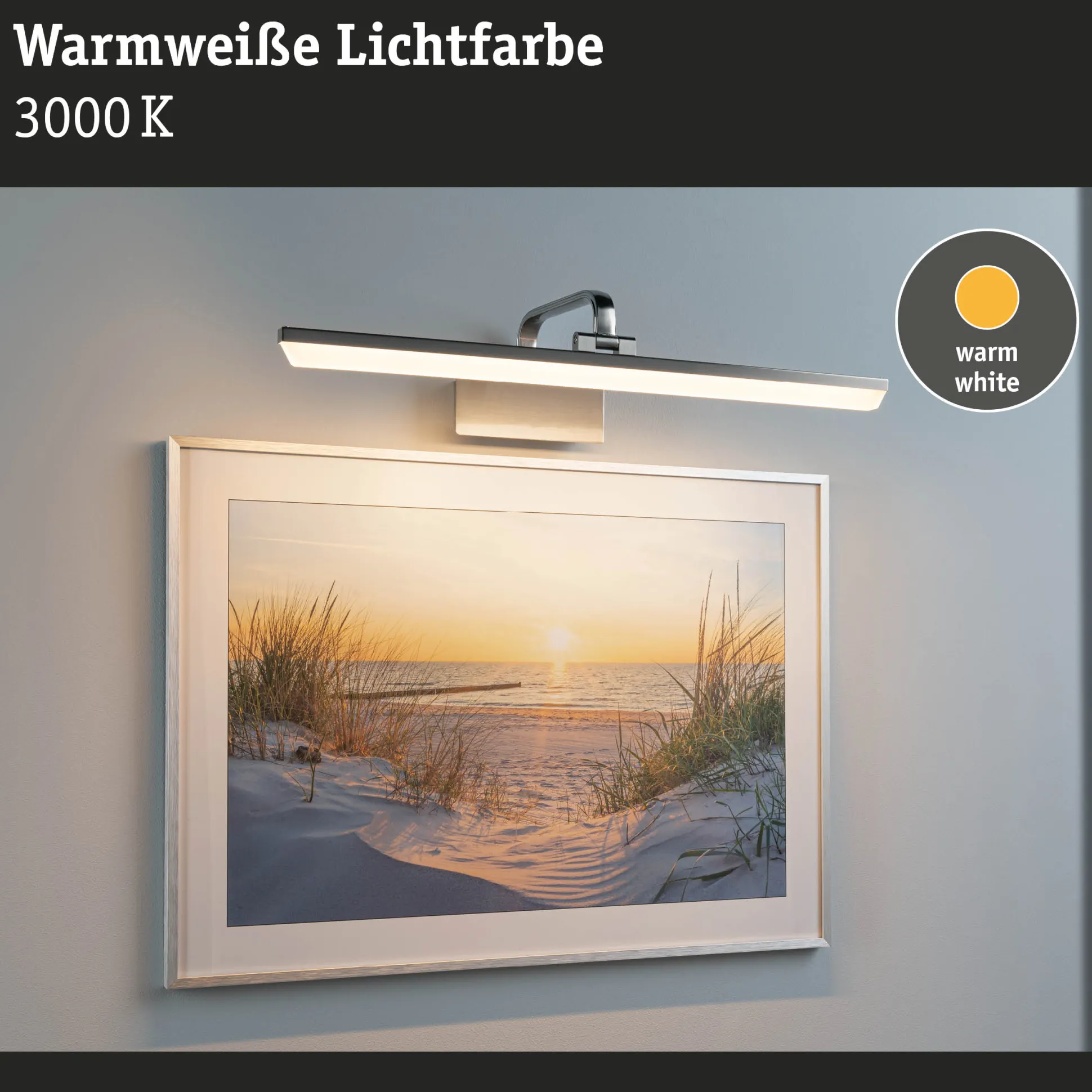 LED Bilderleuchte - Renan