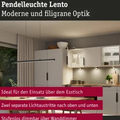 LED Pendelleuchte - Lento