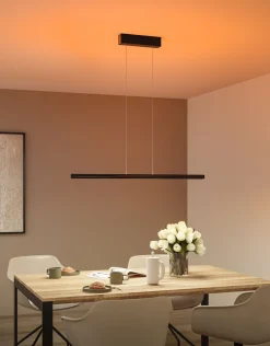 LED Pendelleuchte - Lesko