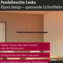 LED Pendelleuchte - Lesko