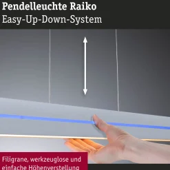 LED Pendelleuchte - Raiko