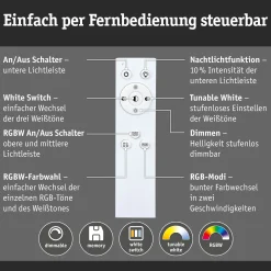LED Pendelleuchte - Raiko