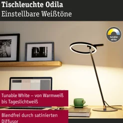 LED Schreibtischleuchte - Odila