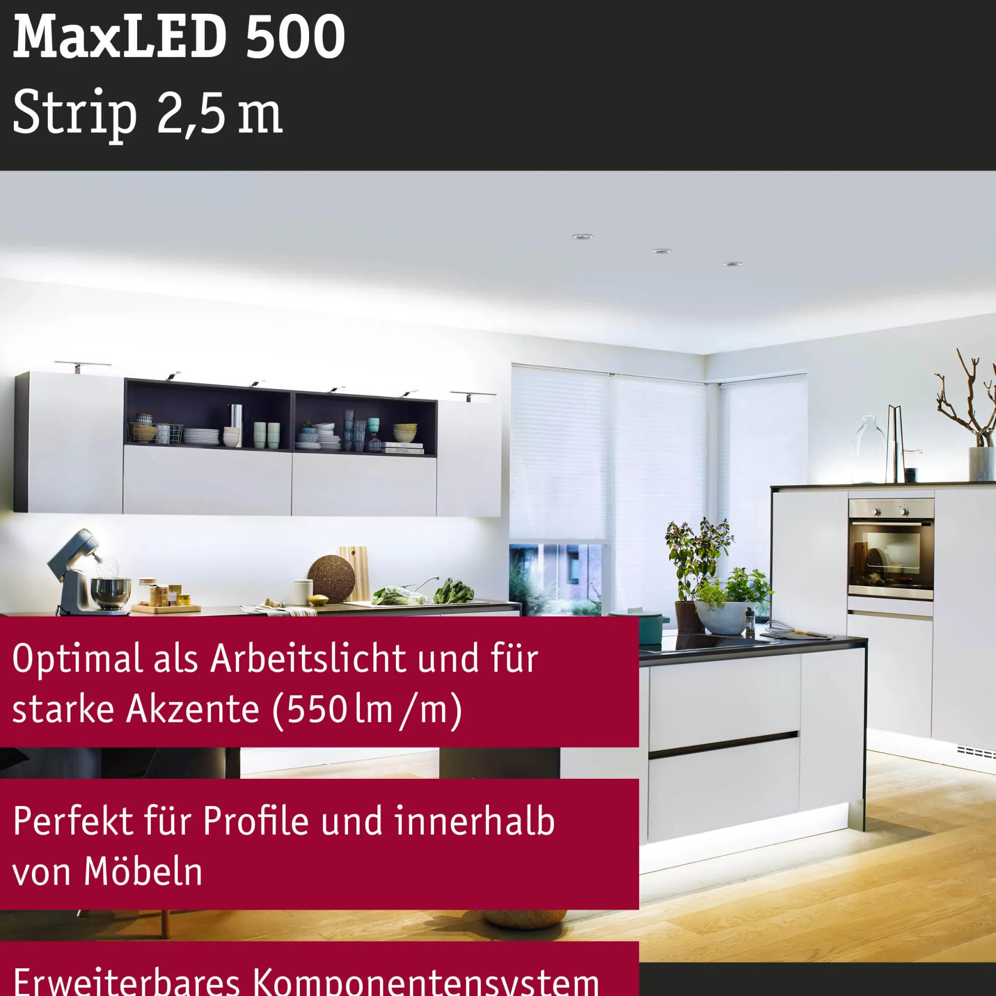 MaxLED 500 LED Strip - Einzelstrip 2,5m Tageslichtweiß