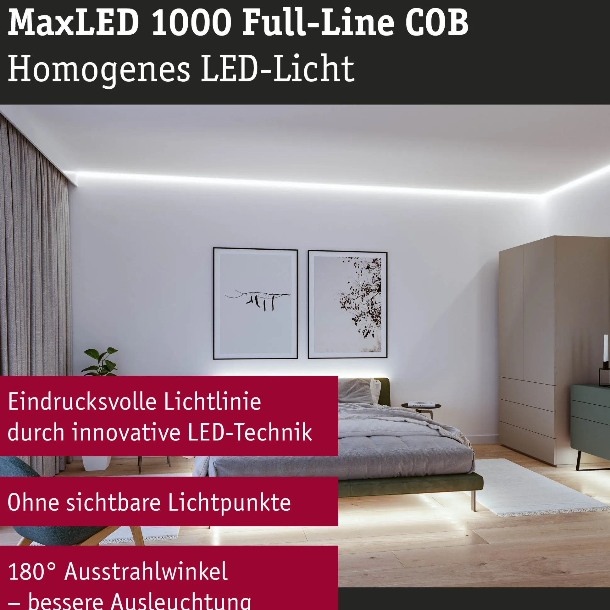 MaxLED 1000 LED Strip - Erweiterung 2,5m Tageslichtweiß