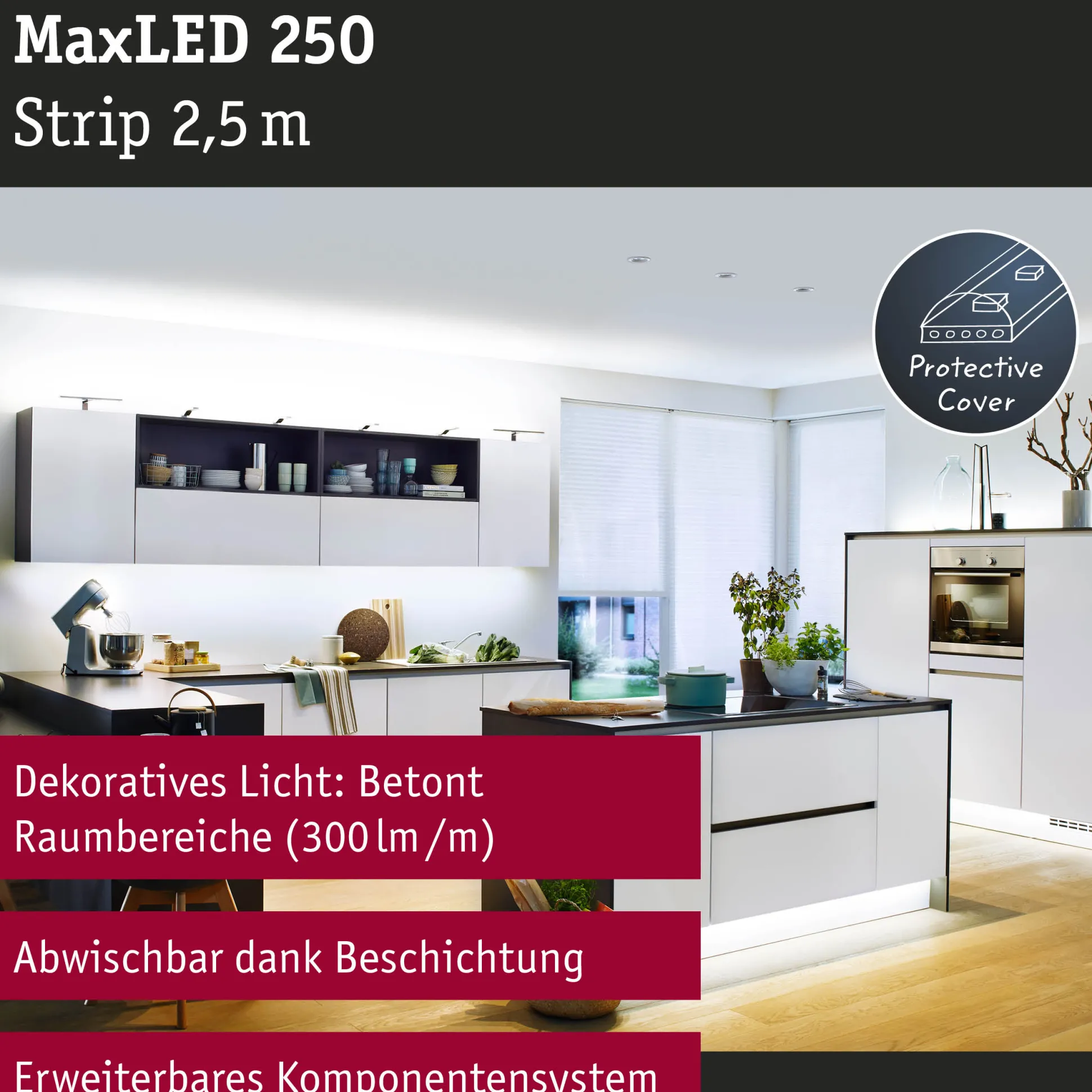 MaxLED 250 LED Strip - Erweiterung 2,5m 6500K