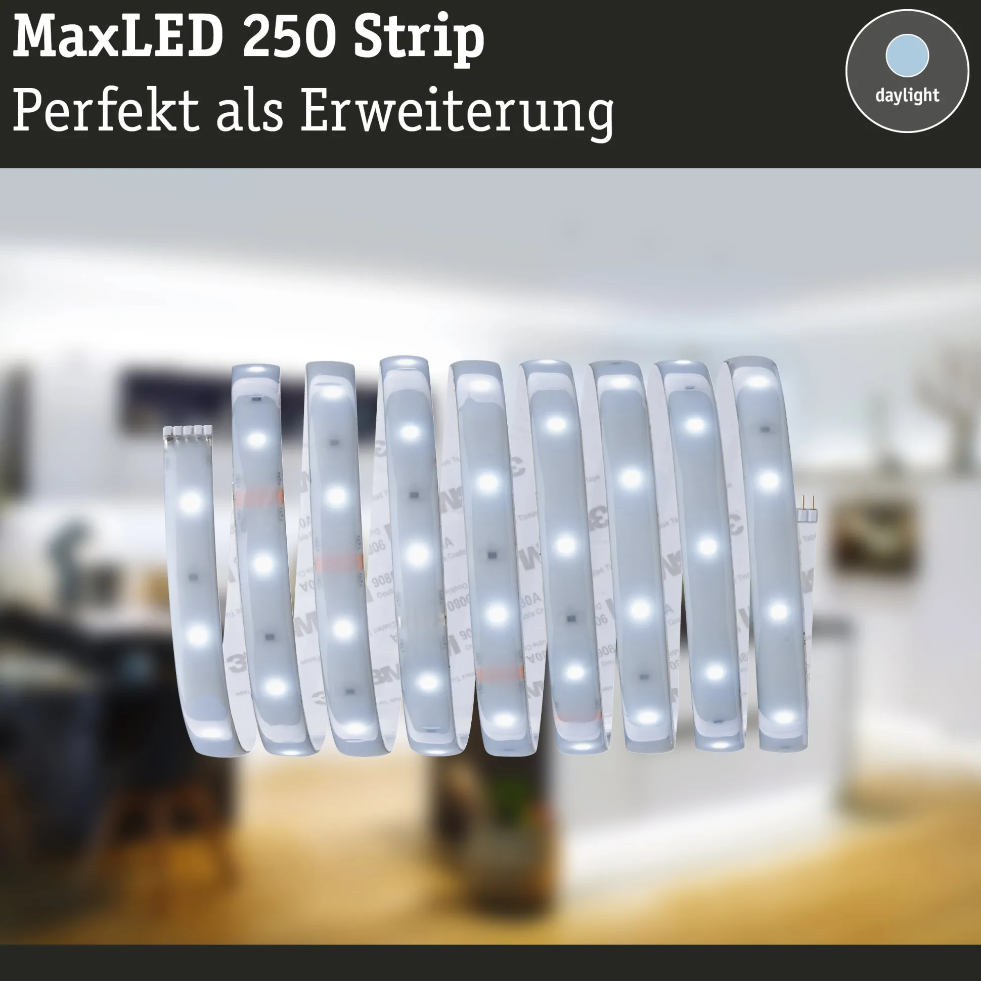 MaxLED 250 LED Strip - Erweiterung 2,5m 6500K