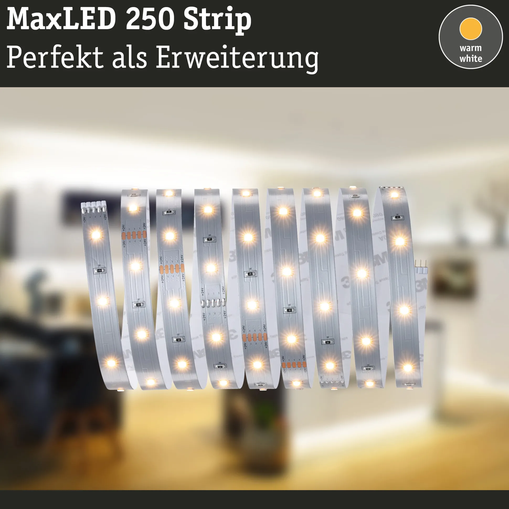 MaxLED 250 LED Strip - Erweiterung 2,5m 2700K