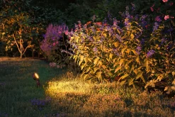 Plug & Shine LED Gartenstrahler - Sting Basisset insektenfreundlich