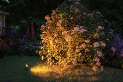 Plug & Shine LED Gartenstrahler - Sting Einzelspot