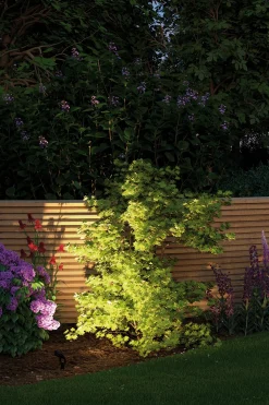 Plug & Shine LED Gartenstrahler - Sting Einzelspot