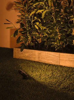 Plug & Shine LED Gartenstrahler - Sting Einzelspot insektenfreundlich