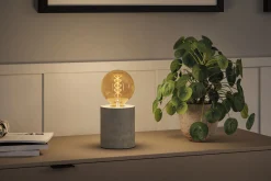 Rustic Shine Standard 230V - LED Globe Filament in S-Form