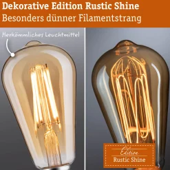 Rustic Shine Standard 230V - LED Globe Filament in S-Form