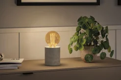 Rustic Shine Standard 230V - LED Globe Filament in I-Form