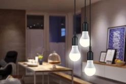 Standard 230V - LED Birne 3er-Set