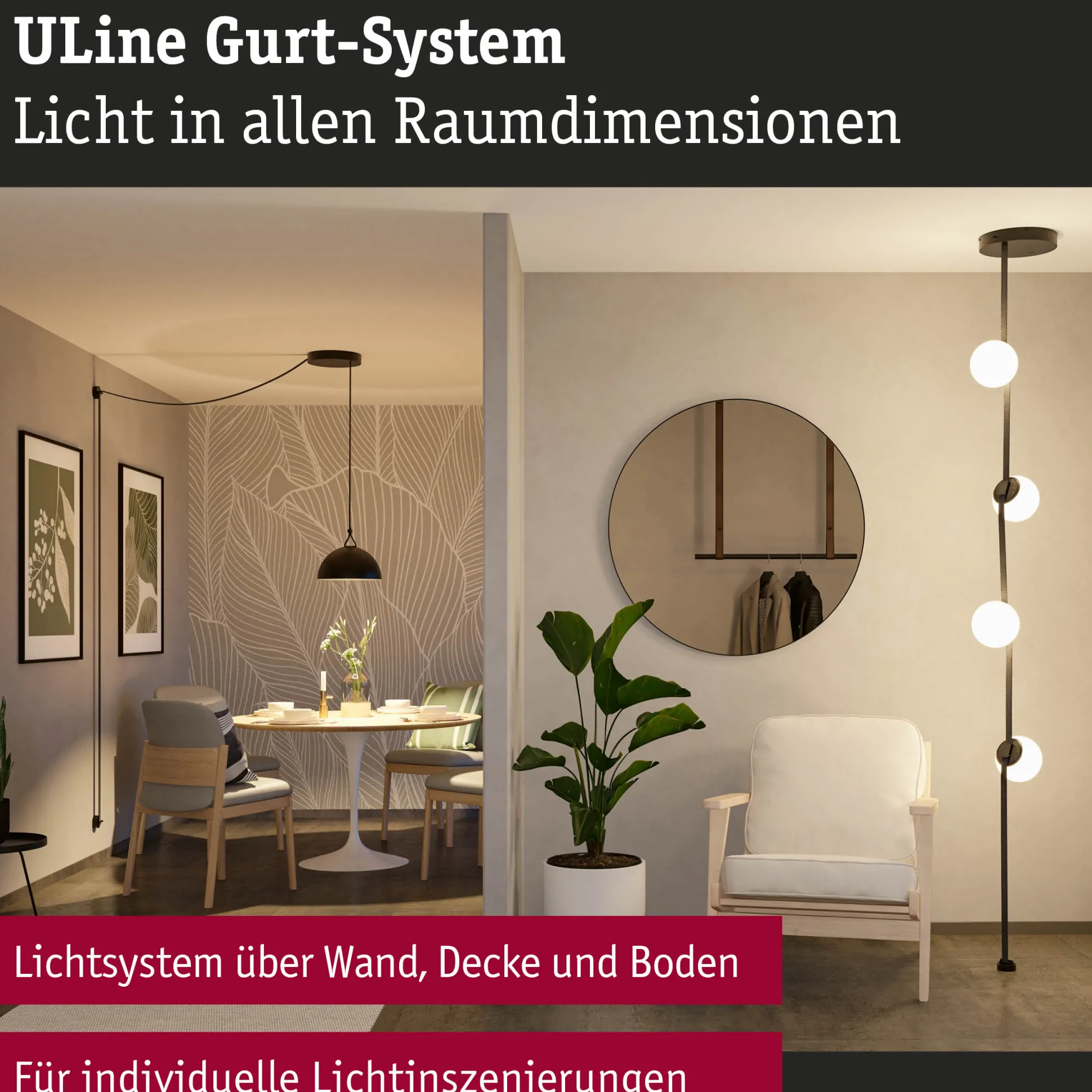 ULine Gurt - 5m