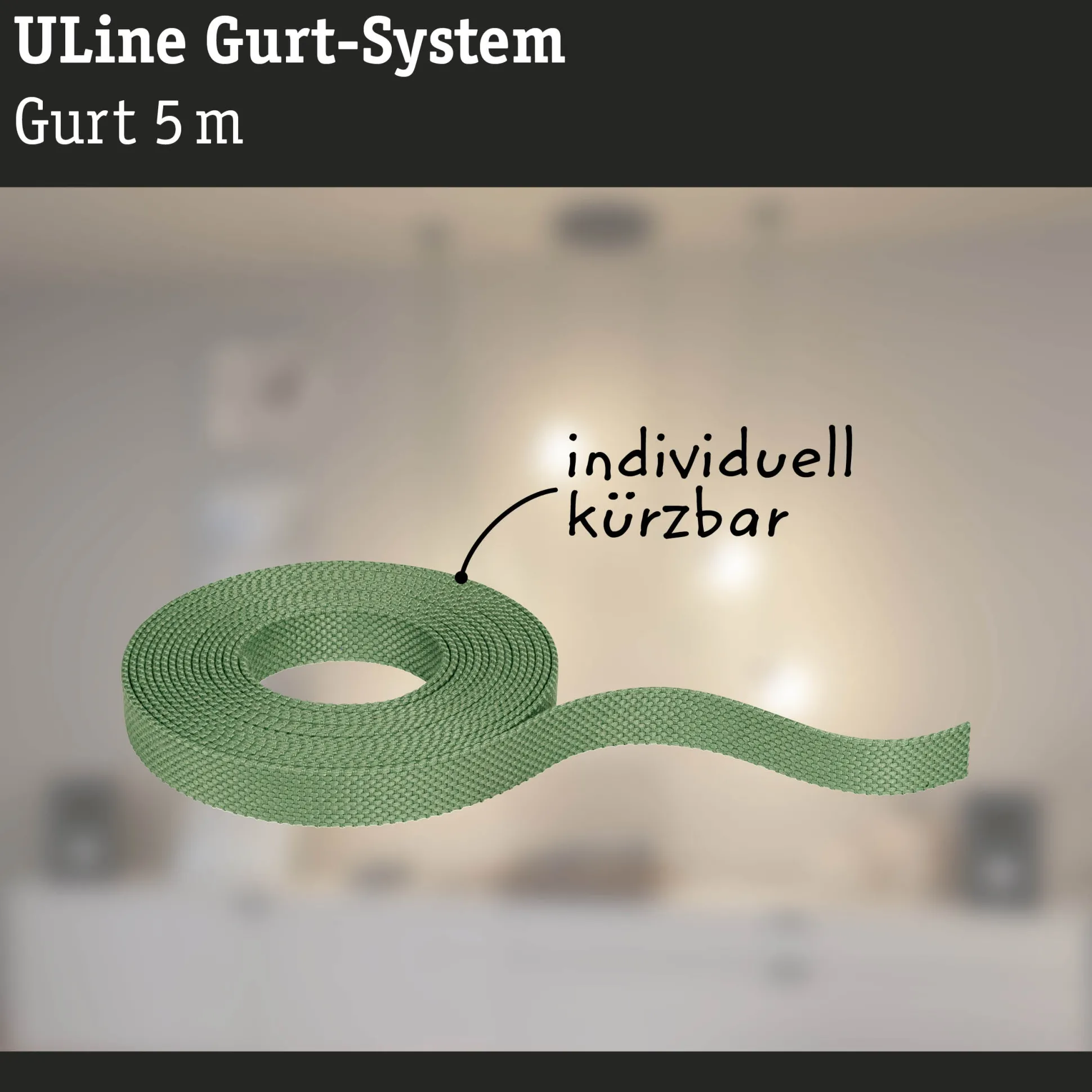 ULine Gurt - 5m