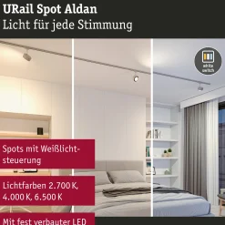 URail Schienenspot - Aldan Einzelspot